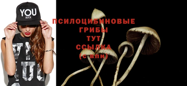 наркотики Алексин