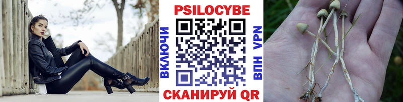 Галлюциногенные грибы GOLDEN TEACHER  Лукоянов 